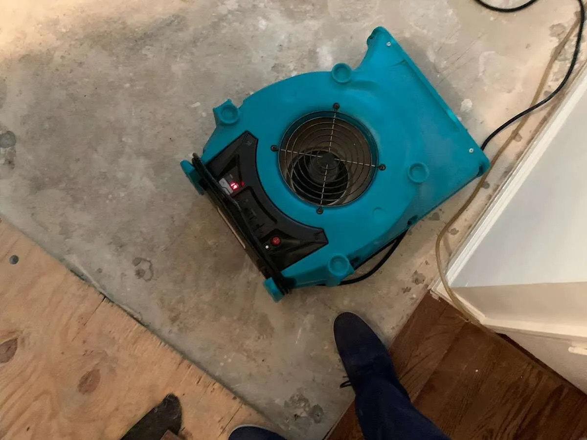 Air mover drying subfloor during Commercial Water Damage Restoration in Trinidad